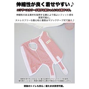犬 猫 術後服 術後ウェア 伸縮性 ボーダー ...の詳細画像1