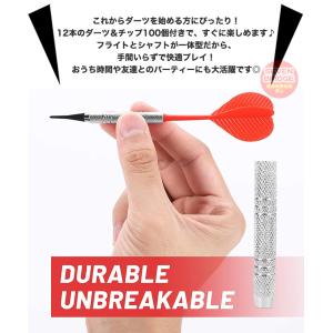 ダーツ 矢 ハウスダーツ 12本セット チップ...の詳細画像1