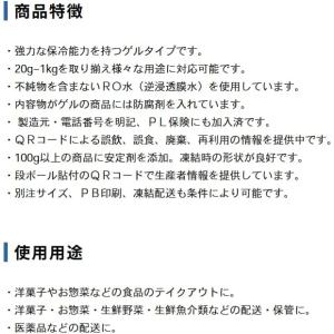 保冷剤 ミニ 50g 10個 70mm×110...の詳細画像1