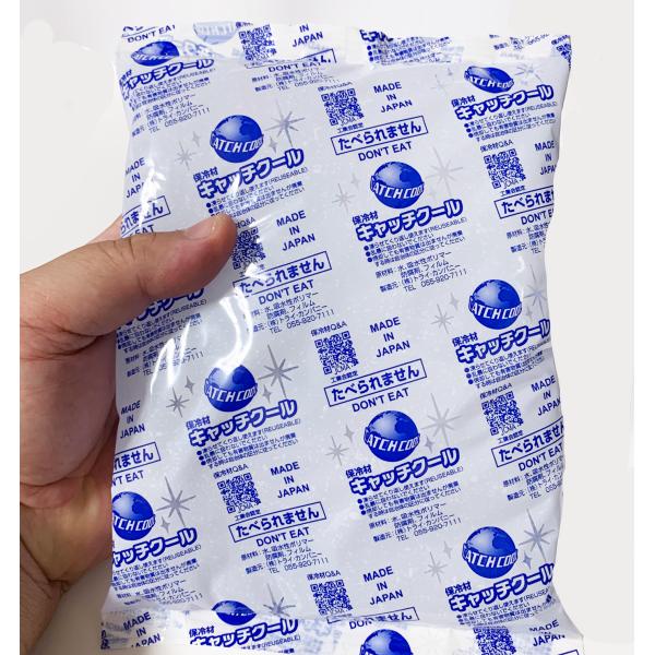 保冷剤 ミニ  5個入 700g キャッチクール CH-700 165×230mm 大きめ 大判 弁...