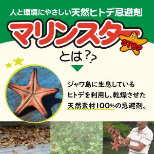 ヒトデ忌避剤 マリンスター 50袋 1袋20リ...の詳細画像2