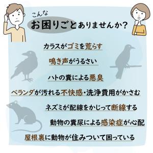 ヒトデ忌避剤 マリンスター 50袋 1袋20リ...の詳細画像3