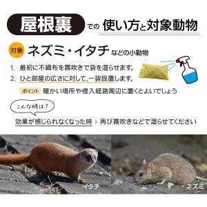 天然 ヒトデ 忌避剤 マリンスター 業務用 海...の詳細画像4