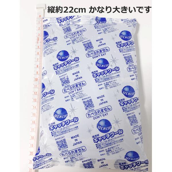 保冷剤 500g ミニ キャッチクール CH-500 140×220 大きめ 大判 蓄冷材  保冷バ...