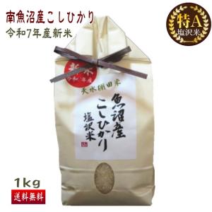 コシヒカリ 送料無料 （令和7年産新米） 徳用 南魚沼産 塩沢米 玄米