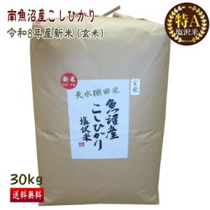 コシヒカリ 送料無料 （令和7年産新米） 徳用 南魚沼産 塩沢米 30kg 