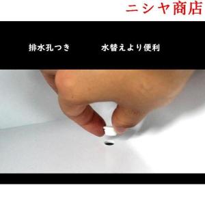 亀 水槽 カメ 飼育ケース ボックス タートル...の詳細画像5