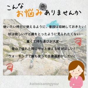 杖 介護 折りたたみ式 ステッキ 2type ...の詳細画像4