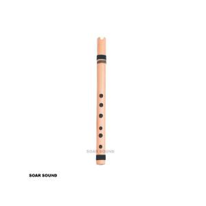 Black Swamp Percussion ブラックスワンプ プロフェッショナル