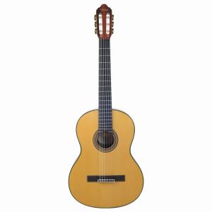 VALENCIA ヴァレンシア クラシックギター CLASSIC GUITAR (H) VC204H