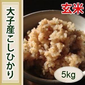 コシヒカリ 玄米 5kg 茨城県 大子産 令和5年産 こしひかり お米コンテストで最優秀賞受賞！｜sobatopiasuifu