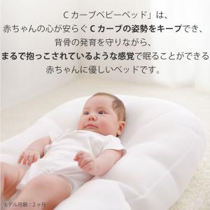 シーカーブクッション シーカーブ クッション ...の詳細画像3