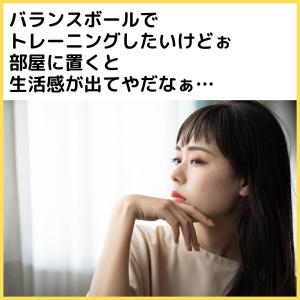 バランスボール カバー セット 55cm ヨガ...の詳細画像2