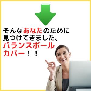 バランスボール カバー セット 55cm ヨガ...の詳細画像3