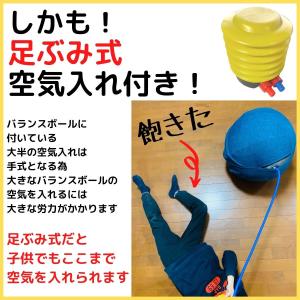 バランスボール カバー セット 55cm ヨガ...の詳細画像5
