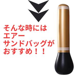 サンドバッグ 自宅 スタンド エアー 子供用 ...の詳細画像2