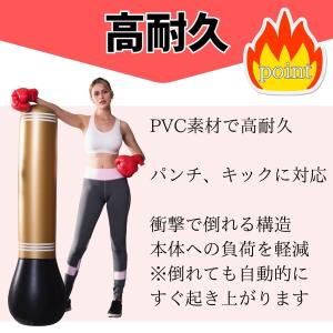 サンドバッグ 自宅 スタンド エアー 子供用 ...の詳細画像4