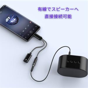 イヤホン変換ケーブル Type-C USB-C...の詳細画像4