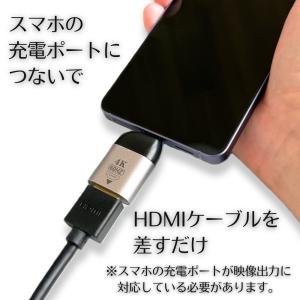 数量限定 モニター特価 タイプc HDMI 変...の詳細画像2