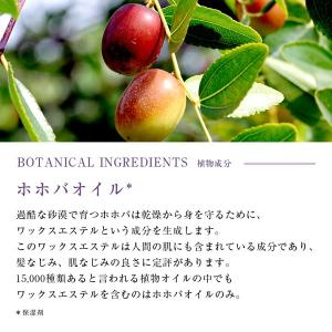 公式 ビオルチア ヘアオイル 60ml 1本 ...の詳細画像3