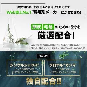 白髪隠し 薄毛隠し 増毛スプレー 公式 チャッ...の詳細画像4