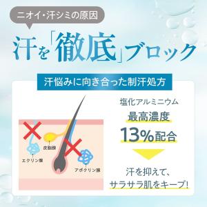 デオドラント 制汗スプレー 制汗剤 女性 公式...の詳細画像2