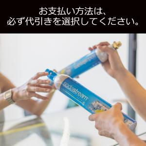 【代引限定】ソーダストリーム ガスシリンダー(...の詳細画像1