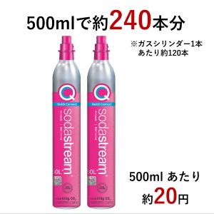 【代引限定】ソーダストリーム クイックコネクト...の詳細画像2