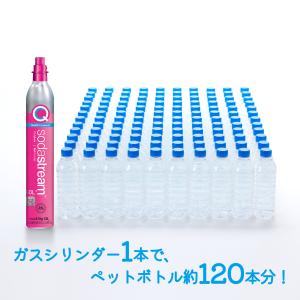 【新規用】ソーダストリーム クイックコネクト ...の詳細画像1