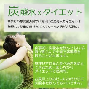 【新規用】ソーダストリーム クイックコネクト ...の詳細画像2
