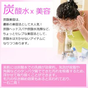 【新規用】ソーダストリーム クイックコネクト ...の詳細画像3