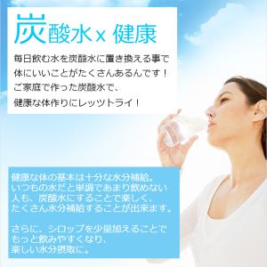 【新規用】ソーダストリーム クイックコネクト ...の詳細画像4