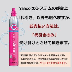 【代引限定】ソーダストリーム クイックコネクト...の詳細画像1