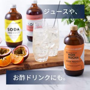 ソーダストリーム DWSボトル 0.43L ブ...の詳細画像3