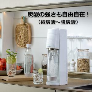 ソーダストリーム TERRA(テラ)スターター...の詳細画像4