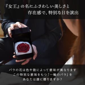 プロポーズ バラ 薔薇 1本 プレゼント サプ...の詳細画像1