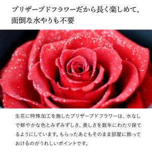 プロポーズ バラ 薔薇 1本 プレゼント サプ...の詳細画像2