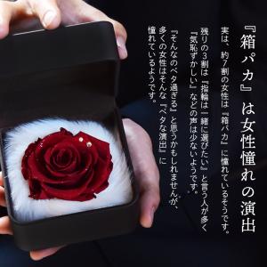 プロポーズ バラ 薔薇 1本 プレゼント サプ...の詳細画像3
