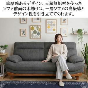 3年保証ごろ寝 重厚感 硬め2人掛け 3人掛け...の詳細画像1