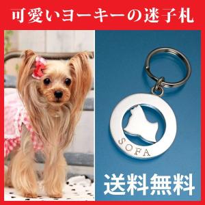 メール便なら送料無料 ヨークシャー テリア 丸モチーフ Www Lfm It