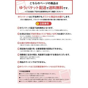 掃除機 紙パック式クリーナー用 別売ダストパッ...の詳細画像2