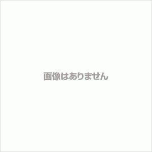 エントリーで+P5％還元♪ コンテナボックス 荷台固定用ベルト SE-130用  RVボックス 収納ボックス カートランク ベランダ収納 防水 アイリスオーヤマ CEB-13｜家具インテリア館Yahoo!店