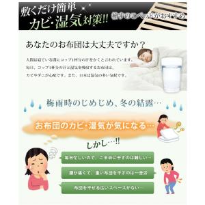 すのこマット シングル ロール式 すのこベッド...の詳細画像2