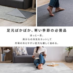 ホットカーペット 1畳 本体 TEKNOS 9...の詳細画像1