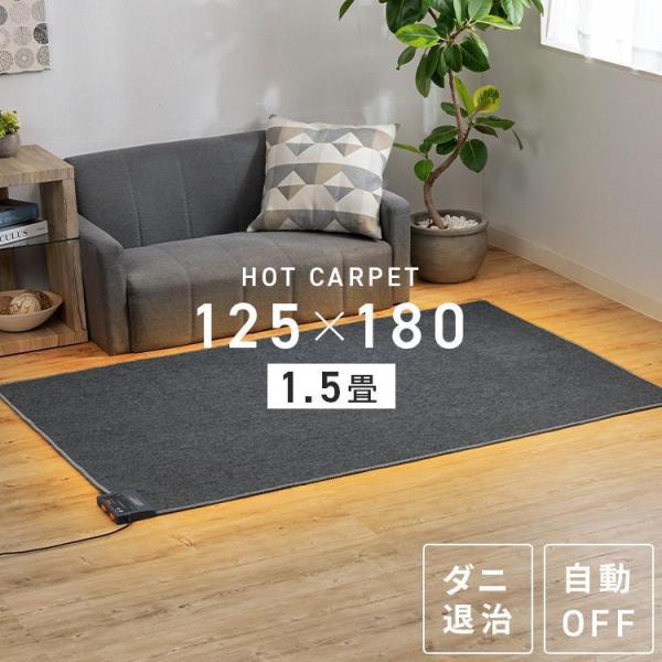 ホットカーペット 1.5畳 本体 TEKNOS  125×180cm おしゃれ 節電 ダニ退治 折り...