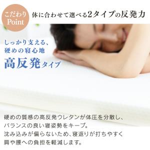 エントリーで+P5%還元♪ 低反発トッパー4c...の詳細画像1