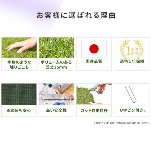 エントリーで+P5%還元♪ リアル人工芝(35...の詳細画像2