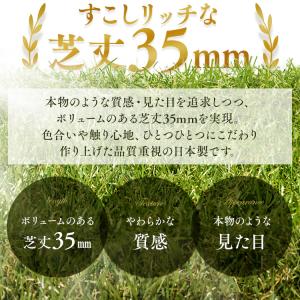 エントリーで+P5%還元♪ リアル人工芝(35...の詳細画像3