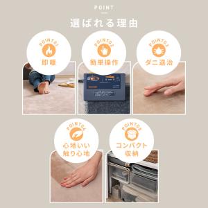 ホットカーペット 2畳 ラグ セット TEKN...の詳細画像3