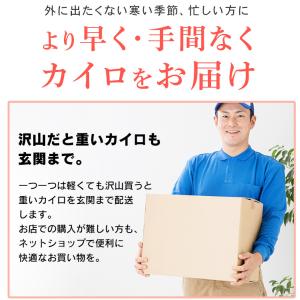 カイロ 貼らない 貼らないカイロ レギュラー ...の詳細画像1